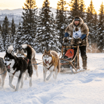 Madonna di Campiglio: Battesimo Sleddog nelle Dolomiti