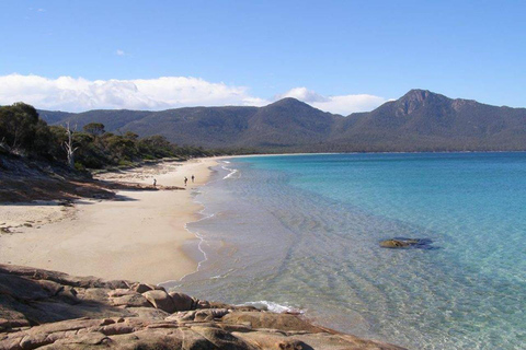 Tasmania - The Ultimate 10-Day TourMotel Double