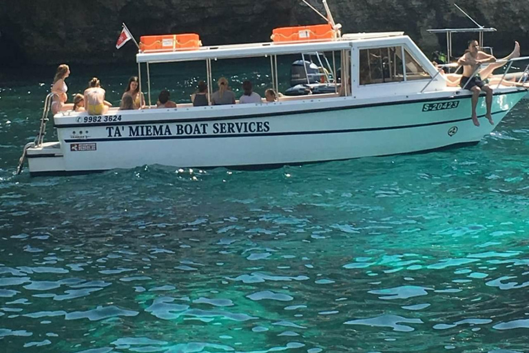 Comino: Excursiones privadas en barco, paradas para nadar y visitas a cuevas