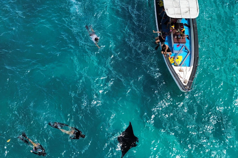 Vanaf Bali: Hele dag privé snorkeltour Nusa PenidaTrefpunt bij de haven van Sanur