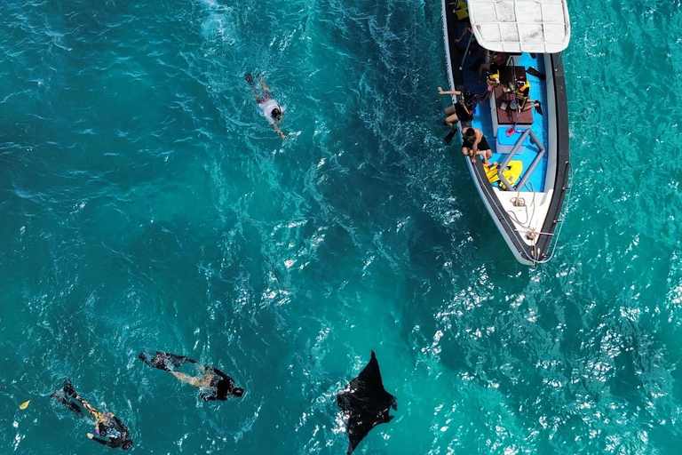 Desde Bali: Tour privado de día completo de snorkel por Nusa PenidaPunto de encuentro en el puerto de Sanur