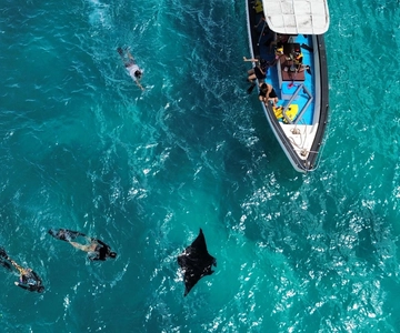 From Bali: Nusa Penida Full Day Private Snorkeling Tour
