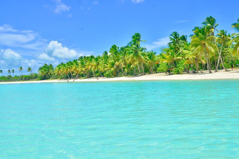 Saona Island: Speedboat + Catamaran Day Trip with Lunch