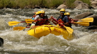 Cañon City, Bighorn Sheep Canyon Guided Rafting Adventure - Housity