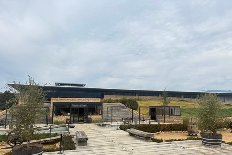 From Santiago: Viña Montes Winery Tour with Wine Tasting