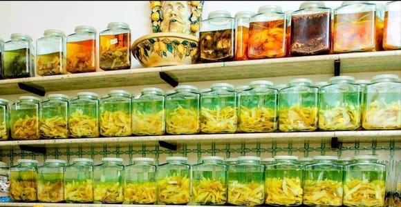 Amalfi: Geführte Tour durch die Limoncello-Fabrik mit Verkostung