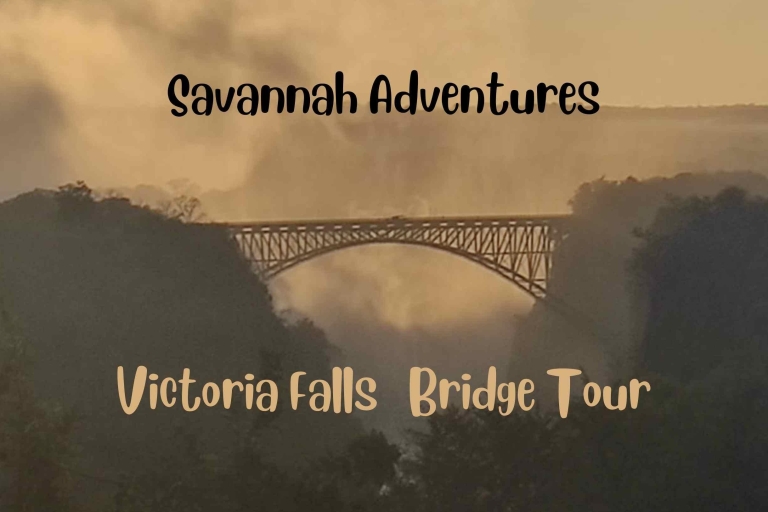Chutes Victoria : Vue sur les chutes et le pont historiqueChutes Victoria : Expérience du pont ouvert Look Out Cafe