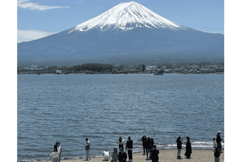 Tokyo : excursion privée personnalisée au mont Fuji et aux chutes de Shiraito