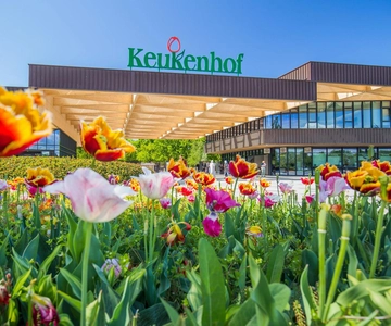 Vanuit Amsterdam: Keukenhof Tuinen en Zaanse Schans Tour
