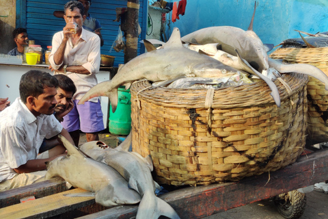 Mumbai Coastal Cooking: Från fiskenät till smakrik tallrik