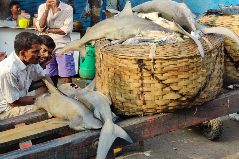 Mumbai Coastal Cooking: Från fiskenät till smakrik tallrik