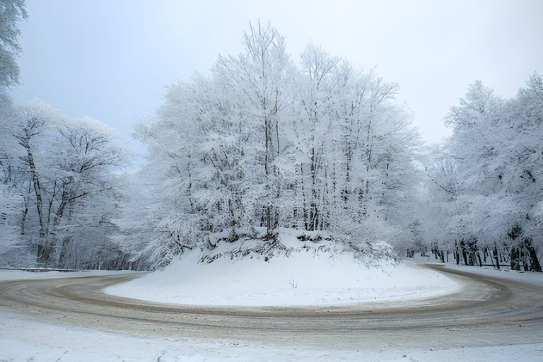 Tbilisi: Sabaduri Forest Siono Lake and Jvari Monastery