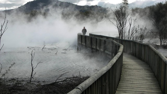AUCKLAND Hotel Pickup: One-way ROTORUA Highlights & Drop-off