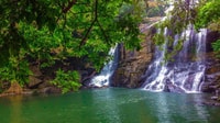 Bentota/Kalutara/Hikkaduwa, Day Trip to Ella Highlands - Housity
