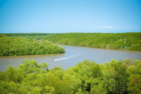 Tour di un giorno della Foresta delle Mangrovie e dell&#039;Isola delle Scimmie di Can Gio