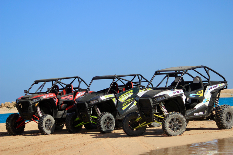 Hurghada: VIP Buggy & Camel Safari + BBQ & Stargazing Sunset — Solo Buggy & Camel — Dinner, Show & Stargazing