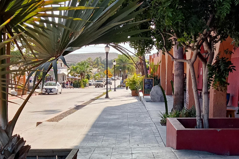 Tour Todos Santos Magical Town, Hotel California
