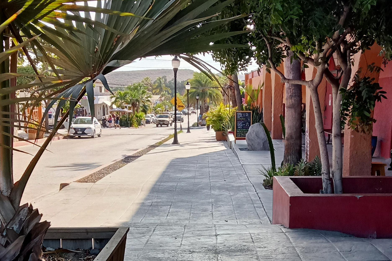 Tour Todos Santos Magical Town, Hotel California