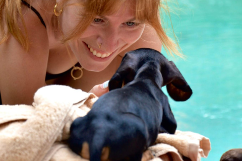 Bali Clase de Yoga para Cachorros en Canggu con Bebidas Refrescantes