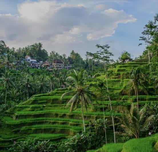 Bali : Balançoire de Bali, forêt de singes, rizière, cascade | GetYourGuide