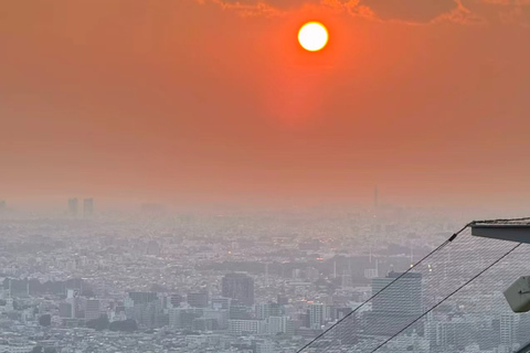 Shibuya Sky Observatory Entry Ticket