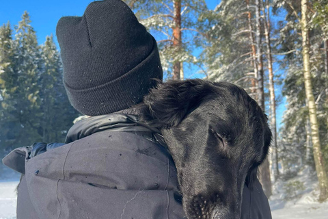 Oslo: Forest Hike with Panoramic Fjord Views and a dog