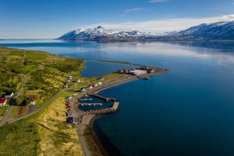 Akureyri: Arctic Coastline & Whale Watching Arctic Coastline & Whale Watching