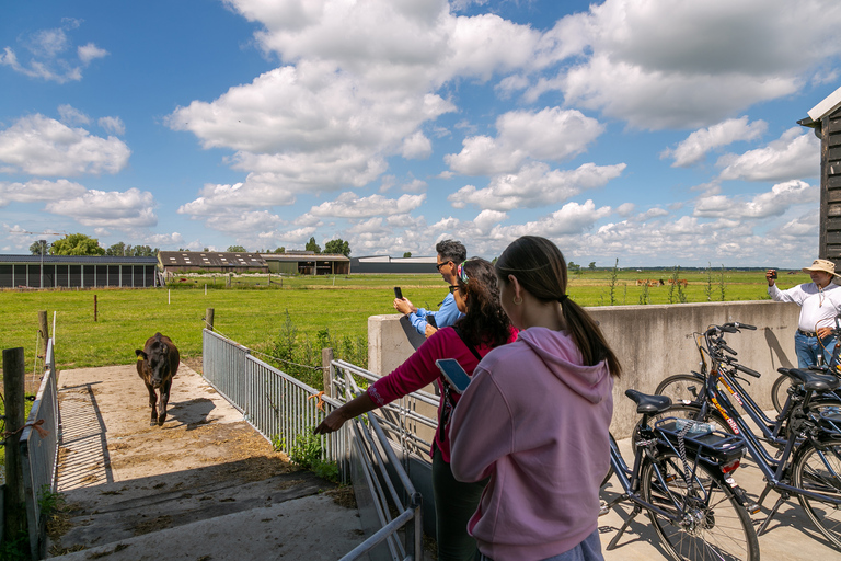 Amsterdam : visite en vélo électrique de 3 h à la campagne