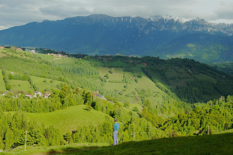 Brașov: Visit a Transylvanian Village Home near Bran Castle From Brașov to a Traditional Village Home in the Bran Area