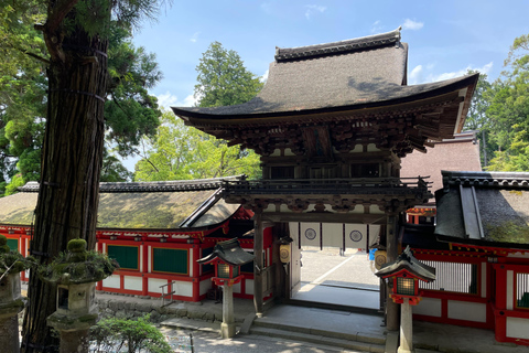 Nara: Guided Countryside Car Tour with Beautiful Landscape