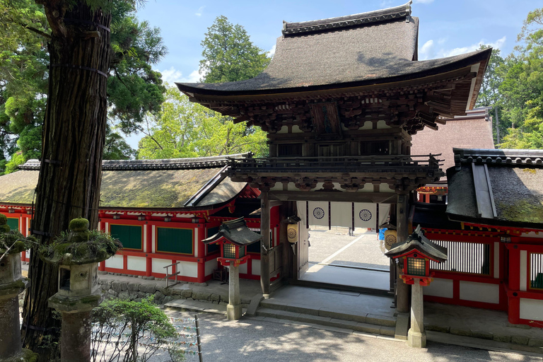 Nara: Guided Countryside Car Tour with Beautiful Landscape