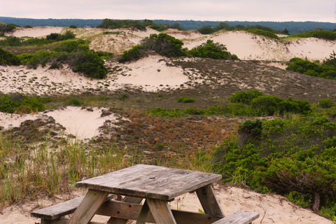 Au départ de Boston : Excursion d&#039;une journée à Cape Cod et Plymouth