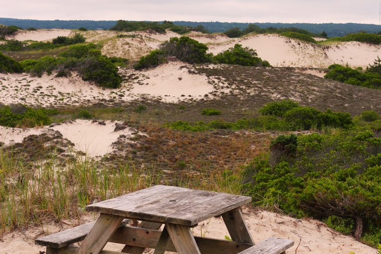 Z Bostonu: Jednodniowa wycieczka do Cape Cod i Plymouth