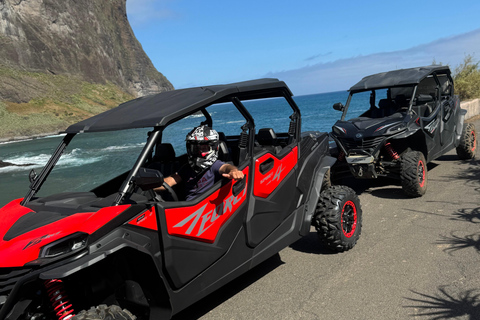 Passeio de buggy na Madeira – Floresta Selvagem e Vistas para a Montanha (4 lugares)Madeira: Passeio de Buggy Off Road (4 lugares)