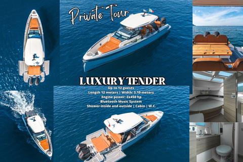 Capri & Blue Grotto: Private boat tour from Sorrento CAPRI: full day private tour on ALLEGRA21