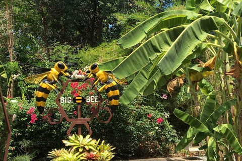 Phuket: Half Day Big Buddha, Tiger Park & ATV Tour City Tour ( No ATV)