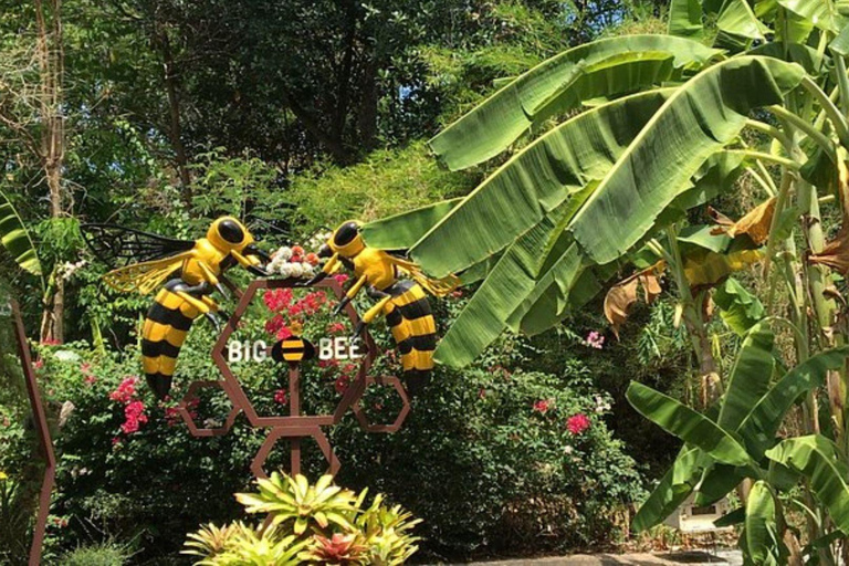 Phuket: Half Day Big Buddha, Tiger Park & ATV Tour City Tour ( No ATV)