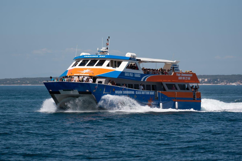SANTA POLA - TABARCA: CATAMARÁN CON VISIÓN SUBMARINA