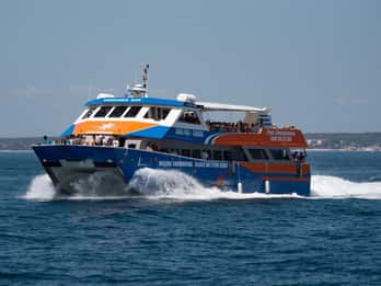 Santa Pola: Crociera in catamarano Tabarca con visione sottomarina