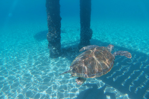 Curacao: Blue Room Cave and Turtles Boat Trip with Pizza