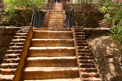 From Colombo: Dambulla, Sigiriya, and Jeep Safari Day Trip
