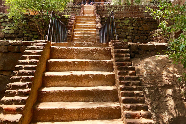 From Colombo: Dambulla, Sigiriya, and Jeep Safari Day Trip