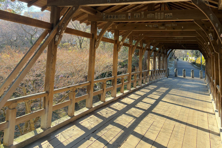 Kyoto Guided Walking Tour: Secret Zen Garden & Fushimi Inari