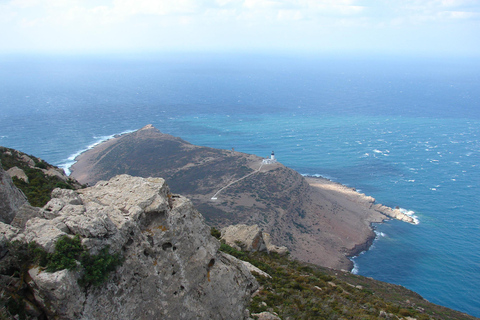 Day Trip to Cap Bon – Full-Day Excursion to Cap Bon