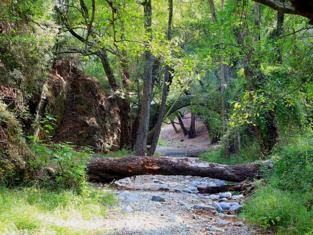 Paphos: Schoonheid, natuur en charme van het Troodosgebergte