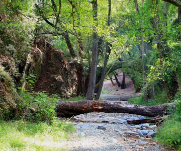 Paphos: Beauty, Nature and Charm of Troodos Mountains