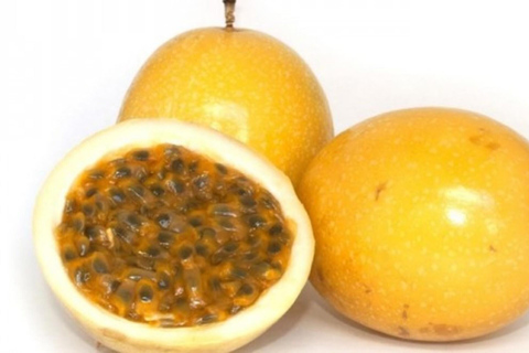 Salvador : visite de dégustation de fruits tropicaux dans un marché localDégustation privée de fruits