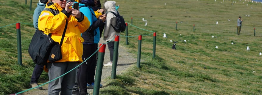 Punta Arenas : Île Magdalena - Promenade des pingouins et du phare