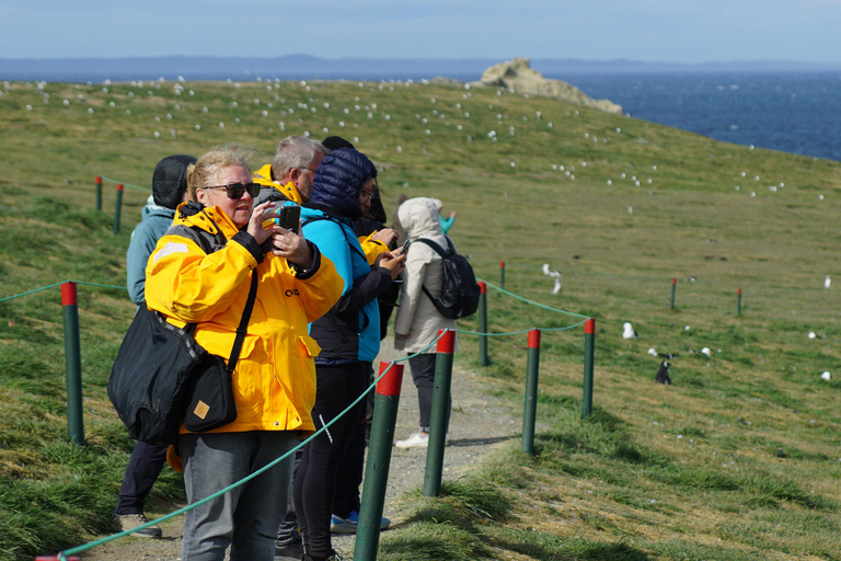 Punta Arenas: Ilha Magdalena - Passeio com pinguins e farol
