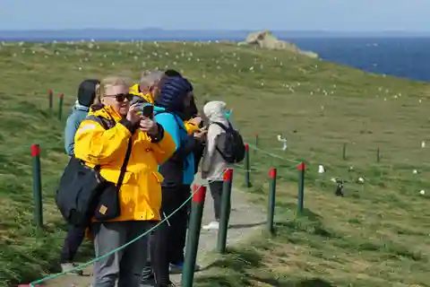 Punta Arenas: Magdalena Island – Penguins & Lighthouse Walk